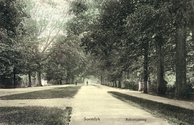 14296 Gezicht in de Rijksstraatweg met bomen te Soestdijk (gemeente Soest) uit het zuidoosten.N.B. De straatnaam ...